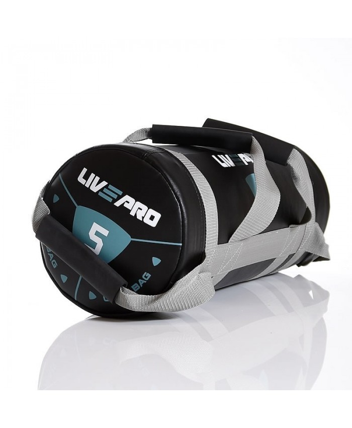 Мішок для кросфіту LivePro POWER BAG