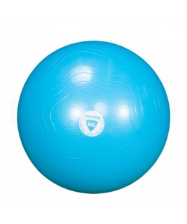 Фітбол зміцнений LivePro ANTI-BURST CORE-FIT EXERCISE BALL