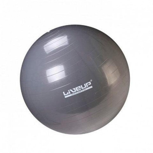 Сірий фітбол LiveUp GYM BALL з логотипом LiveUp на білому тлі